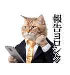 リアルサラリーマン猫（個別スタンプ：12）