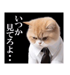 リアルサラリーマン猫（個別スタンプ：14）