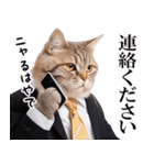リアルサラリーマン猫（個別スタンプ：19）