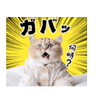 リアルサラリーマン猫（個別スタンプ：25）
