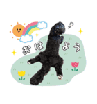 マルプー福★日常スタンプ パピー編（個別スタンプ：9）