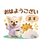 大人可愛いチワワで梅雨の気づかい敬語（個別スタンプ：1）