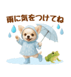 大人可愛いチワワで梅雨の気づかい敬語（個別スタンプ：6）