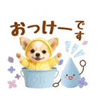大人可愛いチワワで梅雨の気づかい敬語（個別スタンプ：9）
