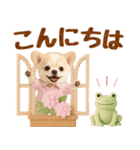 大人可愛いチワワで梅雨の気づかい敬語（個別スタンプ：11）
