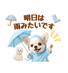 大人可愛いチワワで梅雨の気づかい敬語（個別スタンプ：13）