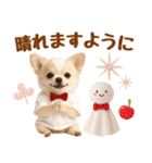 大人可愛いチワワで梅雨の気づかい敬語（個別スタンプ：15）