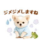 大人可愛いチワワで梅雨の気づかい敬語（個別スタンプ：23）