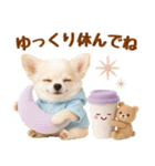 大人可愛いチワワで梅雨の気づかい敬語（個別スタンプ：25）