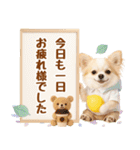 大人可愛いチワワで梅雨の気づかい敬語（個別スタンプ：28）