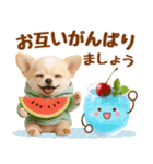 大人可愛いチワワで梅雨の気づかい敬語（個別スタンプ：30）