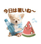 大人可愛いチワワで梅雨の気づかい敬語（個別スタンプ：34）