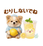 大人可愛いチワワで梅雨の気づかい敬語（個別スタンプ：36）