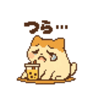 とろっちょの日常ことばスタンプ（個別スタンプ：13）