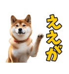 岡山弁☆柴犬（個別スタンプ：1）