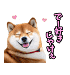 岡山弁☆柴犬（個別スタンプ：11）
