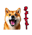 岡山弁☆柴犬（個別スタンプ：14）