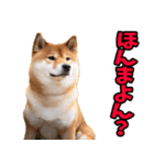 岡山弁☆柴犬（個別スタンプ：17）