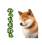 岡山弁☆柴犬（個別スタンプ：21）