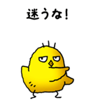 弱音と応援（ひよこ）（個別スタンプ：30）