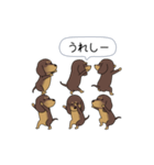 新・激しく尻尾をふるダックス 3 付録あり（個別スタンプ：2）