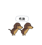 新・激しく尻尾をふるダックス 3 付録あり（個別スタンプ：9）