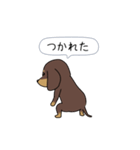 新・激しく尻尾をふるダックス 3 付録あり（個別スタンプ：17）