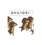 新・激しく尻尾をふるダックス 3 付録あり（個別スタンプ：22）