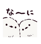 シマエナガです.（個別スタンプ：3）