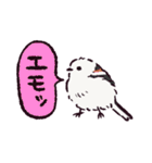 シマエナガです.（個別スタンプ：10）