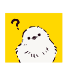 シマエナガです.（個別スタンプ：13）