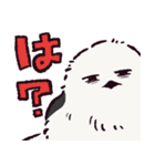シマエナガです.（個別スタンプ：19）
