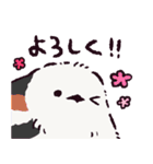 シマエナガです.（個別スタンプ：33）