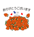 雫丸の苺なスローライフ（個別スタンプ：6）