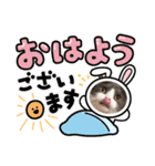 短足ミヌエットつゆたん（個別スタンプ：4）