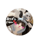 短足ミヌエットつゆたん（個別スタンプ：7）