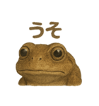 森からきたちゃいろカエル（個別スタンプ：5）