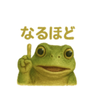 毎日つかえる！あいさつカエル（個別スタンプ：4）
