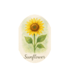 7月の花シリーズ:July Flowers（個別スタンプ：1）