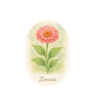7月の花シリーズ:July Flowers（個別スタンプ：7）