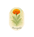 7月の花シリーズ:July Flowers（個別スタンプ：8）