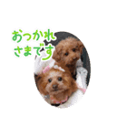 kiran③（個別スタンプ：2）