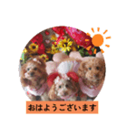 kiran③（個別スタンプ：5）