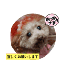 kiran③（個別スタンプ：8）