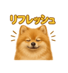 週末だ！リアルなポメラニアンご褒美ライン（個別スタンプ：3）