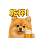 週末だ！リアルなポメラニアンご褒美ライン（個別スタンプ：10）