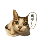 Mukuの家族スタンプ（個別スタンプ：11）
