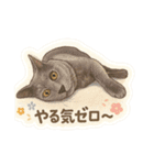 Mukuの家族スタンプ（個別スタンプ：16）