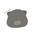 あっちゃん語①(改訂)（個別スタンプ：6）