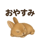 とにかく眠いリアルなうさぎのライン（個別スタンプ：3）